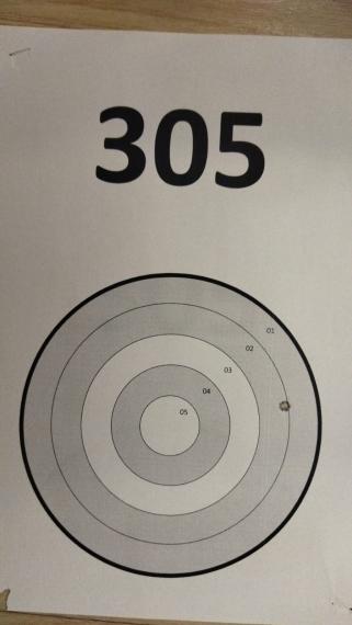 305