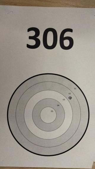 306