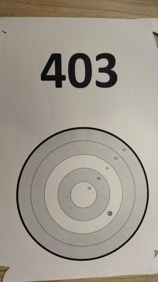 403
