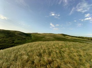 IMG_20230602_190252_430