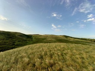IMG_20230602_190252_430