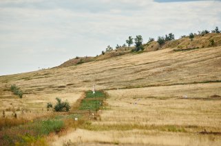 DSC_5344