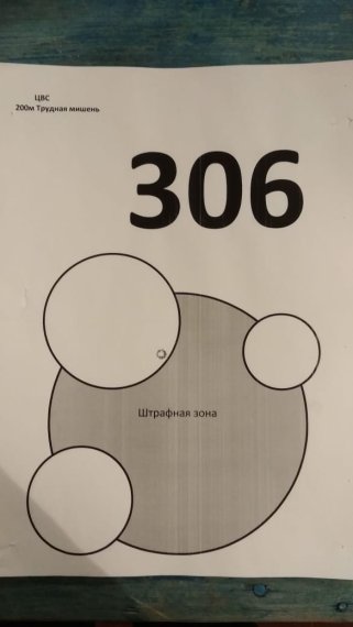 306