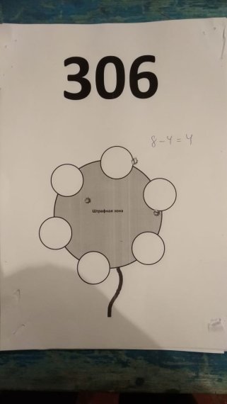 306
