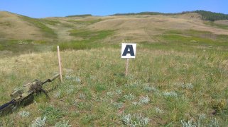IMG_20190511_123436