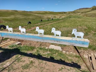 IMG_20220507_124120628_HDR